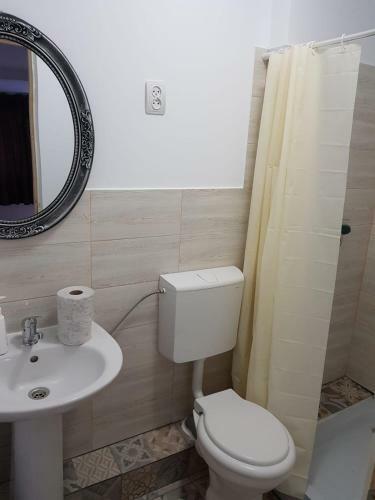 Hostal Pensiunea Amyrar
