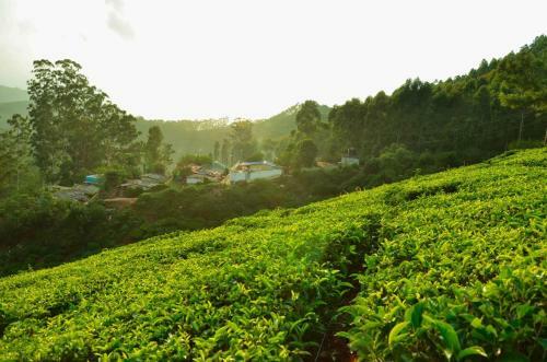 Villa Munnar Valley View Annex