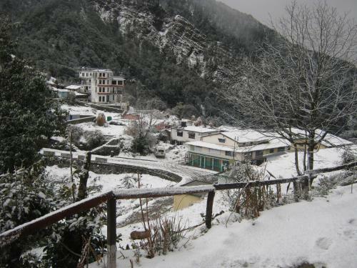 Lodge Jfr Pangot Nainital