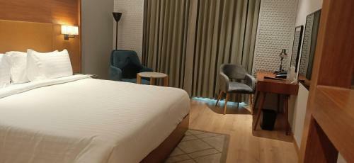 Radisson Hotel Nathdwara