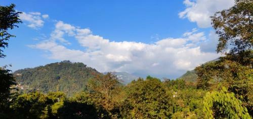 Teesta Tendong Homestay