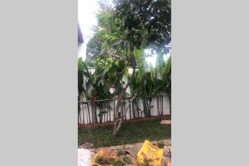 3 Bedroom Villa Near Big Buddha