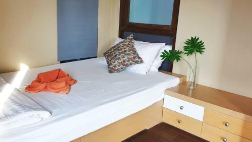 Hostal Island Cafe&hostel