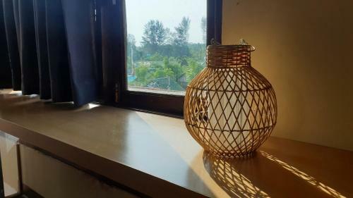 Hostal Island Cafe&hostel