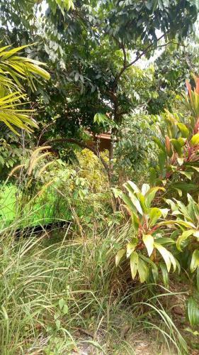 Baan Chillout