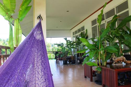 Hotel Peejohnika Koh Phangan