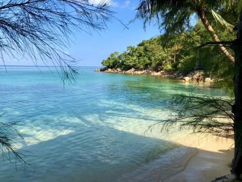 Agroturismo Coconut Beach Bungalows