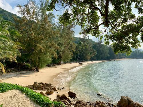 Agroturismo Coconut Beach Bungalows