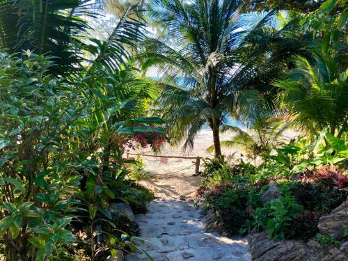 Agroturismo Coconut Beach Bungalows