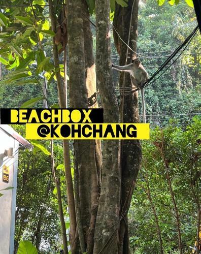Beachbox@koh ?hang