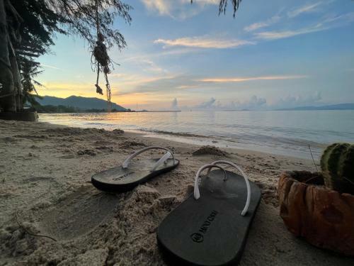 Phangan Dream Box