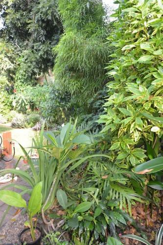 Balinese Villa