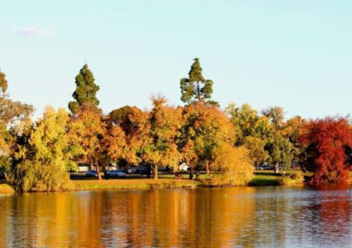 Golden Square Gold Class Guest House, Bendigo