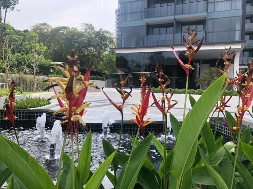 Apartamento The Andromeda Condominium Seaview