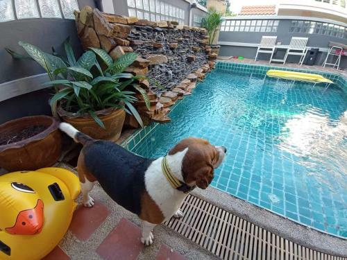 Apartamento Casapratamnak 5