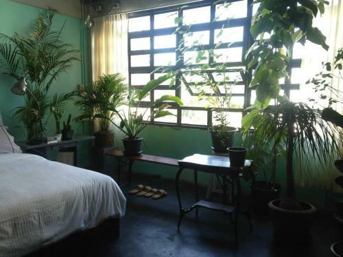Bed & Breakfast The Mustang Nero Hotel