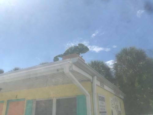 Apartamento Michaels Surfside Cabanas