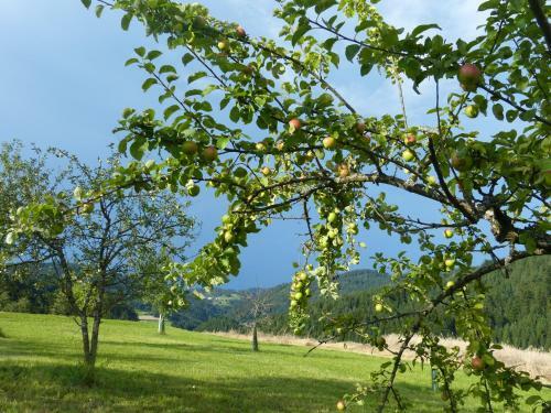 Agroturismo Biohof Bernhard