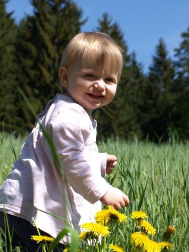 Agroturismo Biohof Bernhard