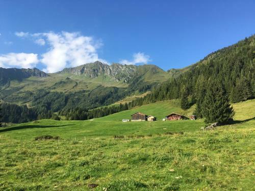 Apartamento Haus H�llerer