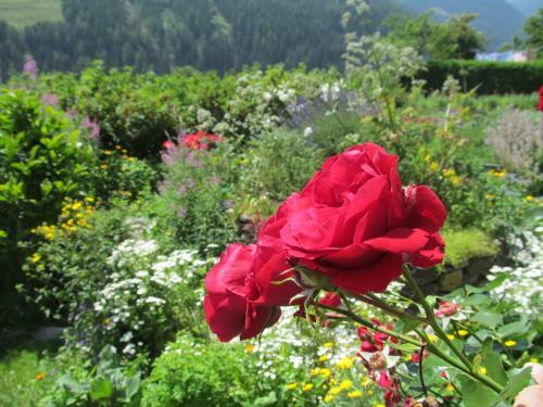Agroturismo Klampererhof
