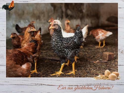 Apartamento Fewo-egger-thalmann