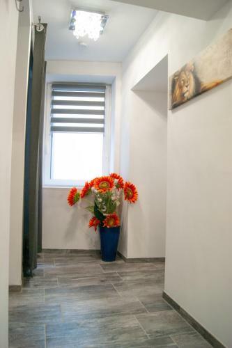 Apartamento Haus Ren�