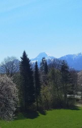 Apartamento Ferienwohnung In K�rnten
