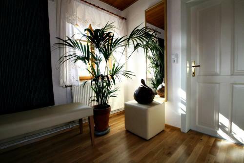 Apartamento Ferienhaus Thayahof