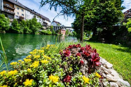 Apartamento Leopold An Der Ybbs