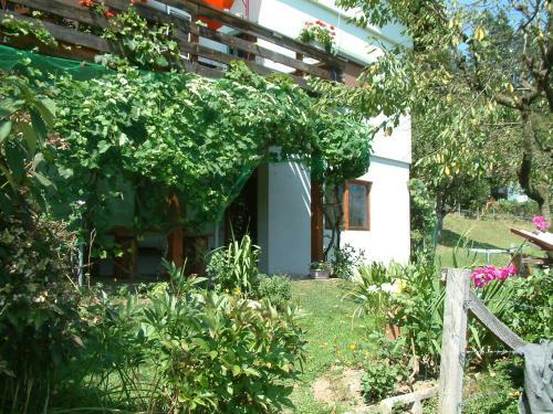 Apartamento Ferienwohnung Woid Mandl