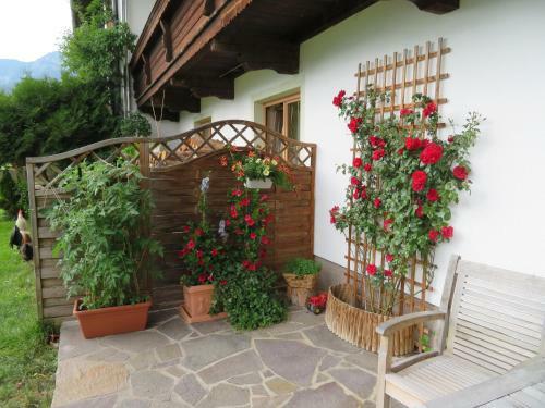 Agroturismo Bommerhof