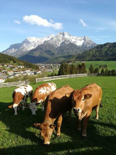 Agroturismo Bommerhof