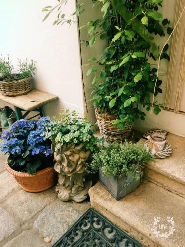 Apartamento Gute Stube