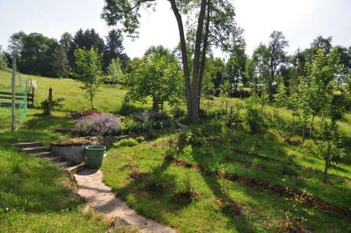 Agroturismo Dorferhof