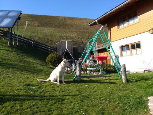 Apartamento Haus Bucher