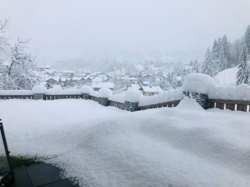 Apartment Wagrainblick