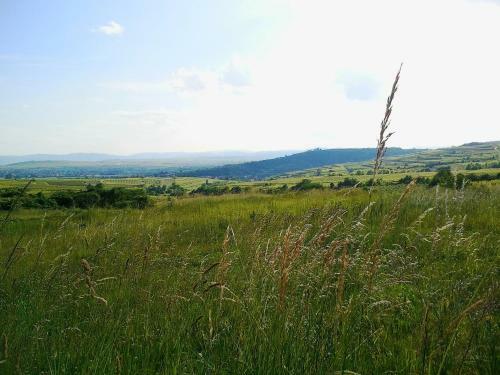 Bed & Breakfast Marienschl�ssl