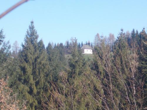 Agroturismo Bauernhof Moadl