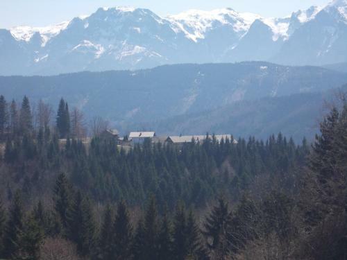 Agroturismo Bauernhof Moadl