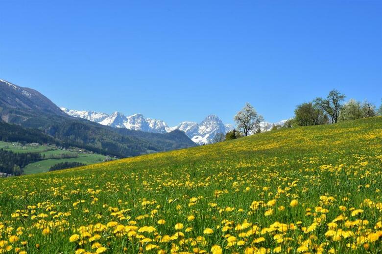 Hostal Villa Bischofsberg - L�rchen-wellness Apartment