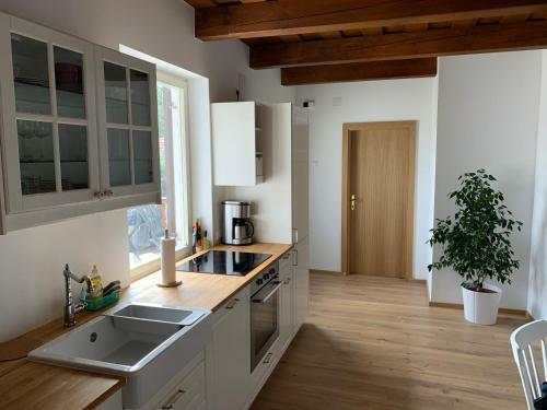 Apartamento Urlaub Im Weingarten