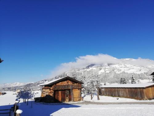 Apartamento Appartement Holaus