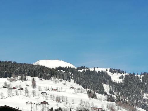 Hostal Pension L�rchenbrunn