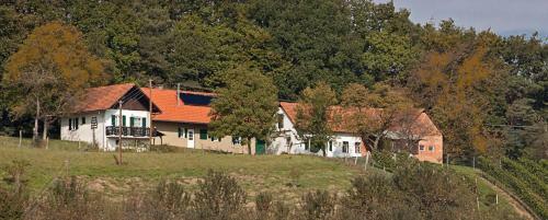 Weinbergst�ckl Gombotz