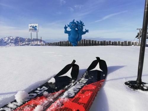 Apartamento Landhaus Gruber Winter