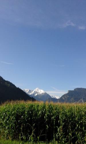 Posada G�stehaus Wildauer