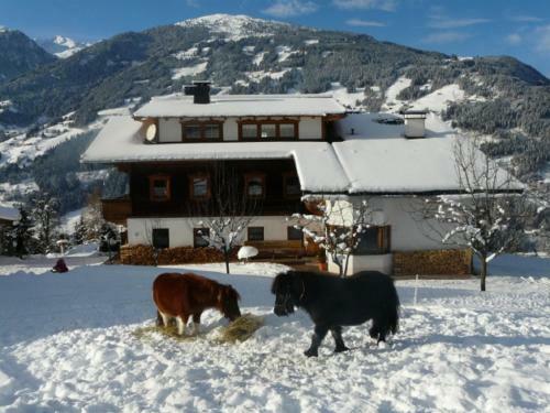 Apartamento Haus Kammerland