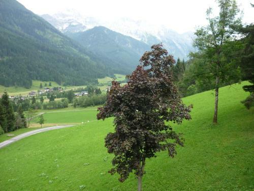 Agroturismo Oberrainbauer