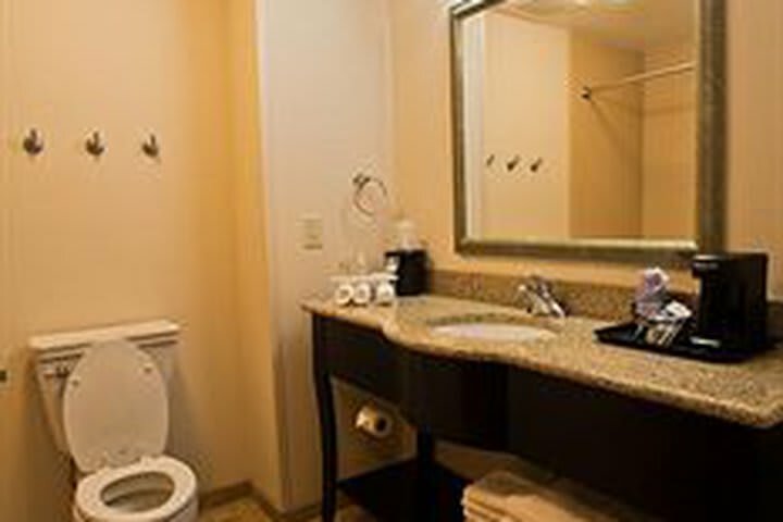 Hotel Holiday Inn Express And Suites Urbandale Des Moines